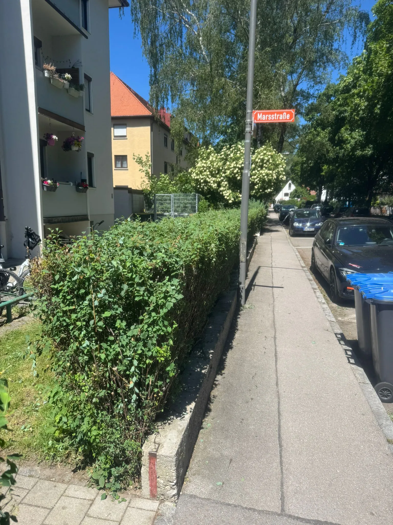 Hecke am selben Gehweg nach der Pflege, mit zurückgeschnittener Oberseite und Seitenfläche