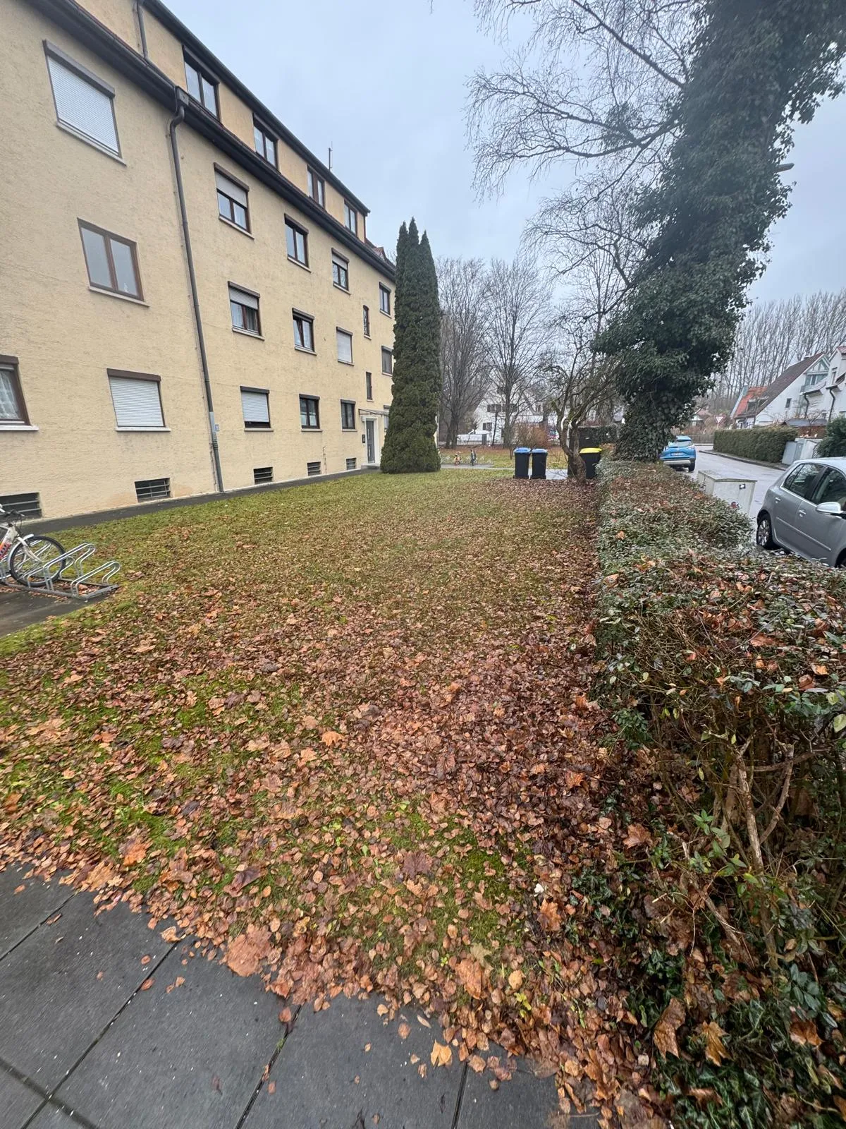 Rasenfläche neben einem Wohngebäude mit Laub